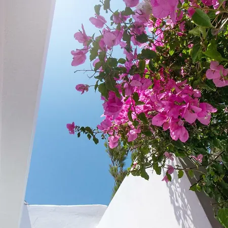 Holiday home Aiolos Palekastro